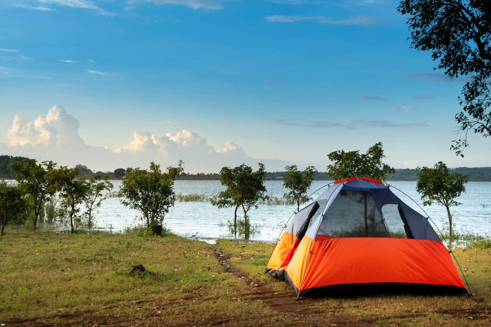 Five Tips for Summer Camping Survival